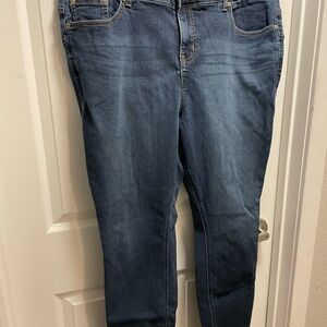 Torrid Medium Wash Skinny Jeans